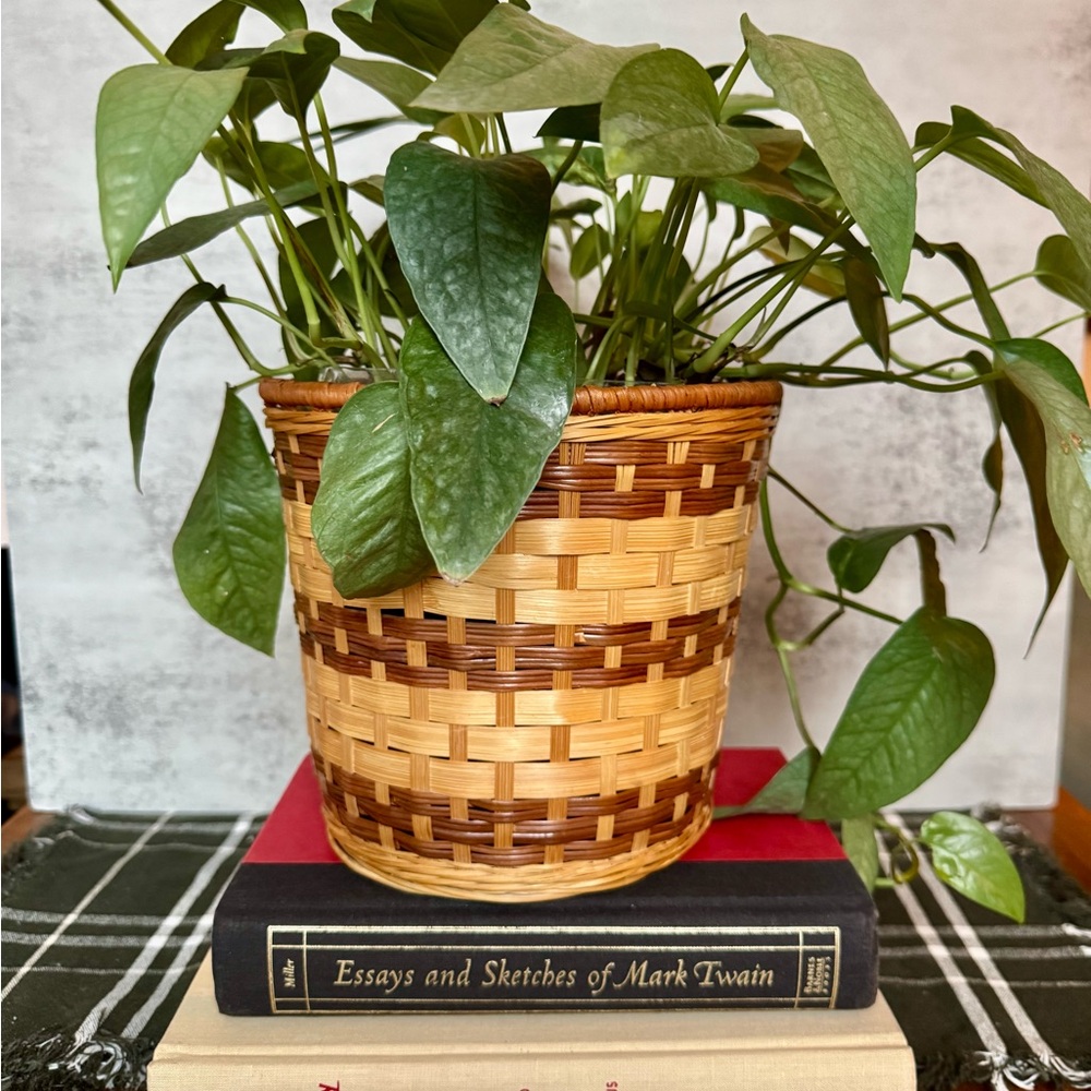 Woven Basket Planter